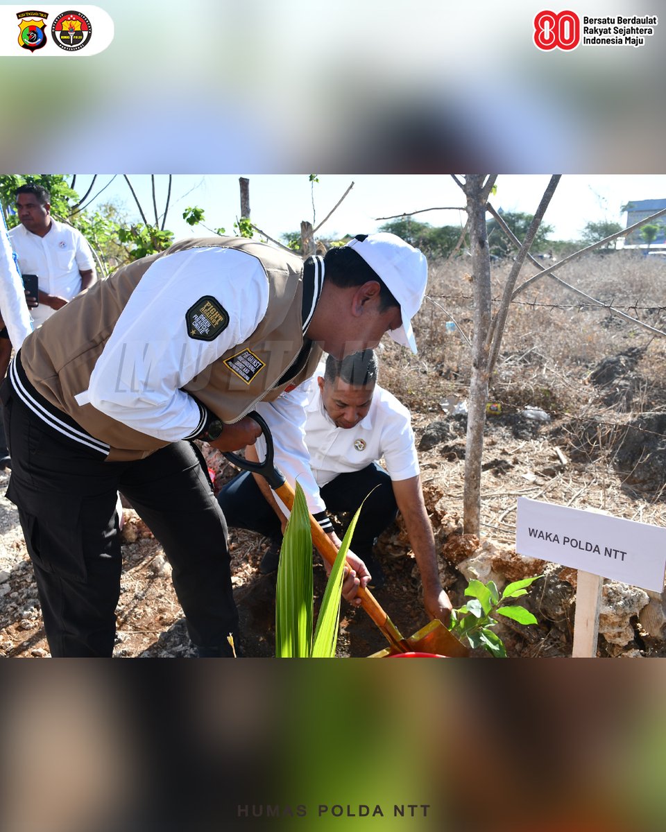 humas_polda_ntt's tweet photo. Sobat Humas Polri
.
.
.
Polda NTT dan PPATK Hadirkan Karya Monumental: 5 Sumur Bor Air Bersih untuk Kesejahteraan Kota Kupang

#polriuntukmasyarakat #poldantt #wakapoldantt #pptk #sumurbor #ayotanamjagung #kembalikannttlumbungjagung https://t.co/QhCgBSOGGA
