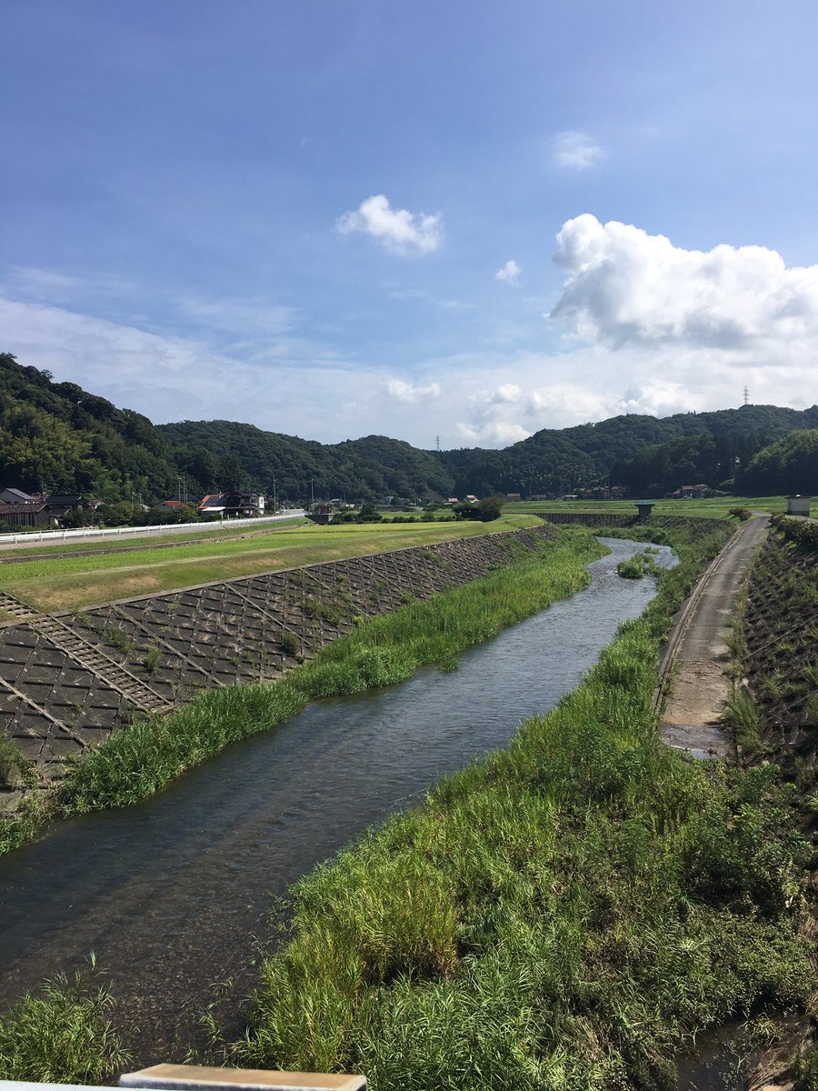 自然すぎるダロ🌲🌲🌲