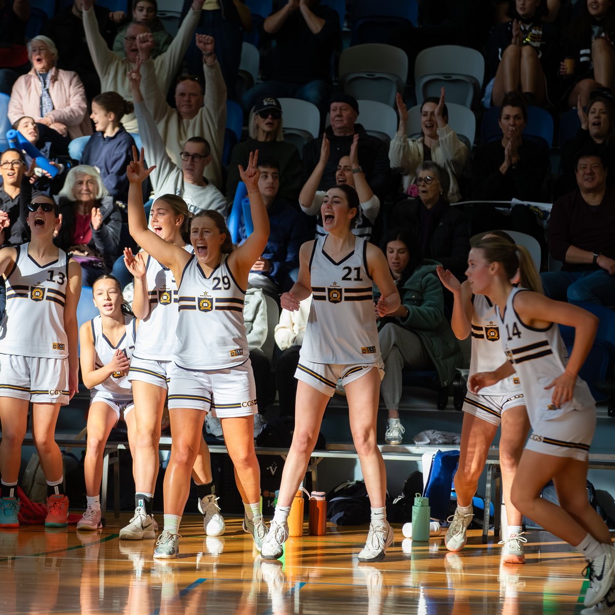 caulfieldgs's tweet photo. Our Basketball Girls are now back-to-back champions, claiming the APS Premierships over Ivanhoe Grammar on the weekend. 👊🏆

#CaulfieldGrammar2025 #apssport https://t.co/o1pbVNbde6