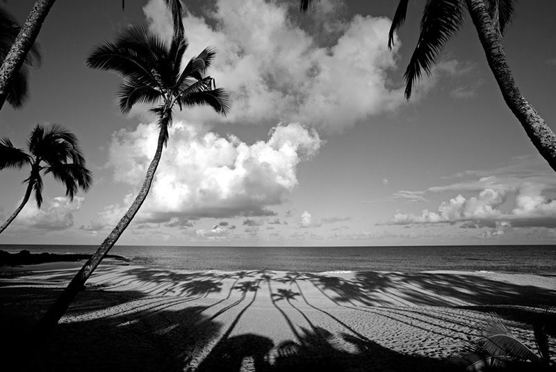 Aaron Chang tweet media