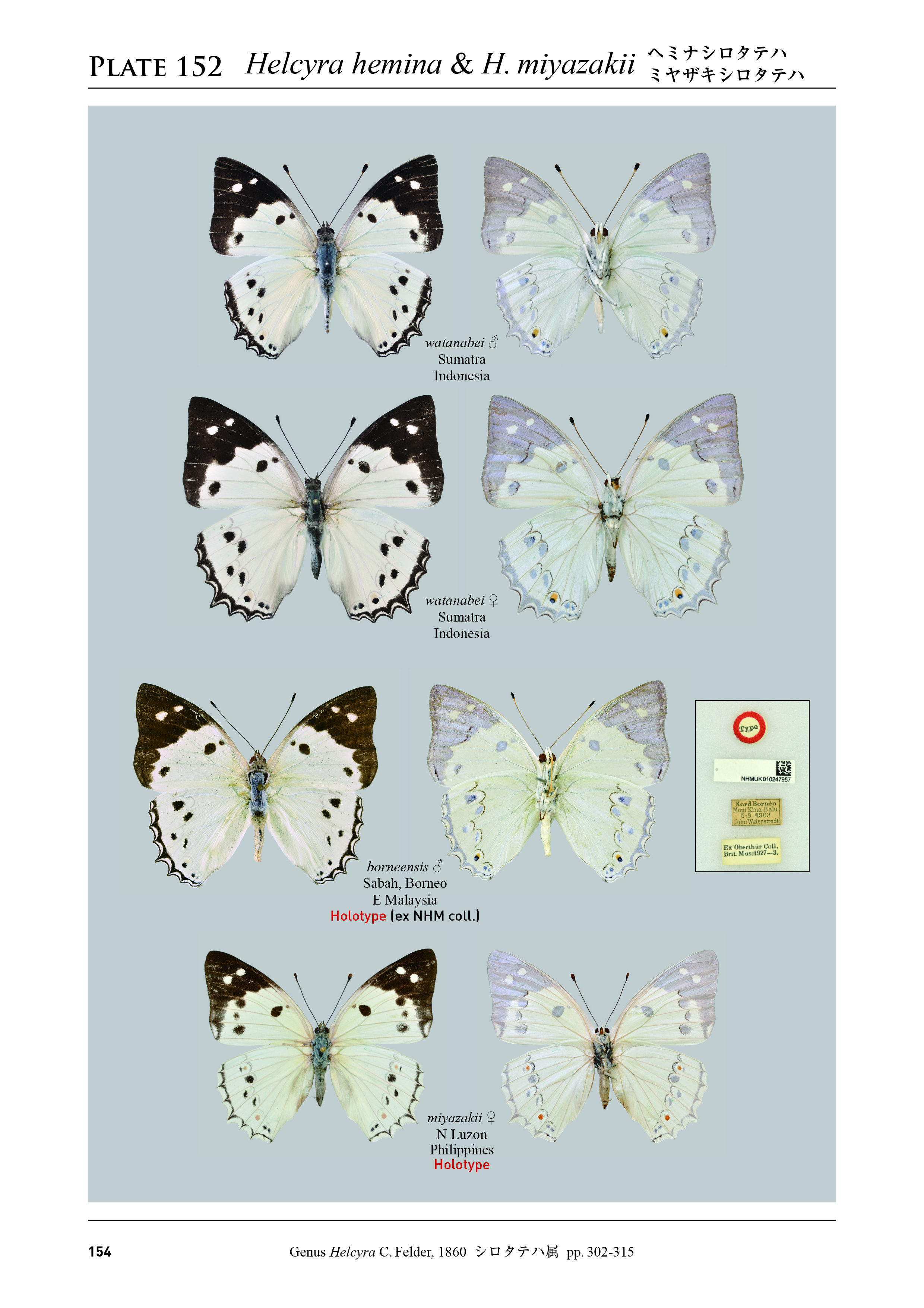 北海道大学出版会 on X: 