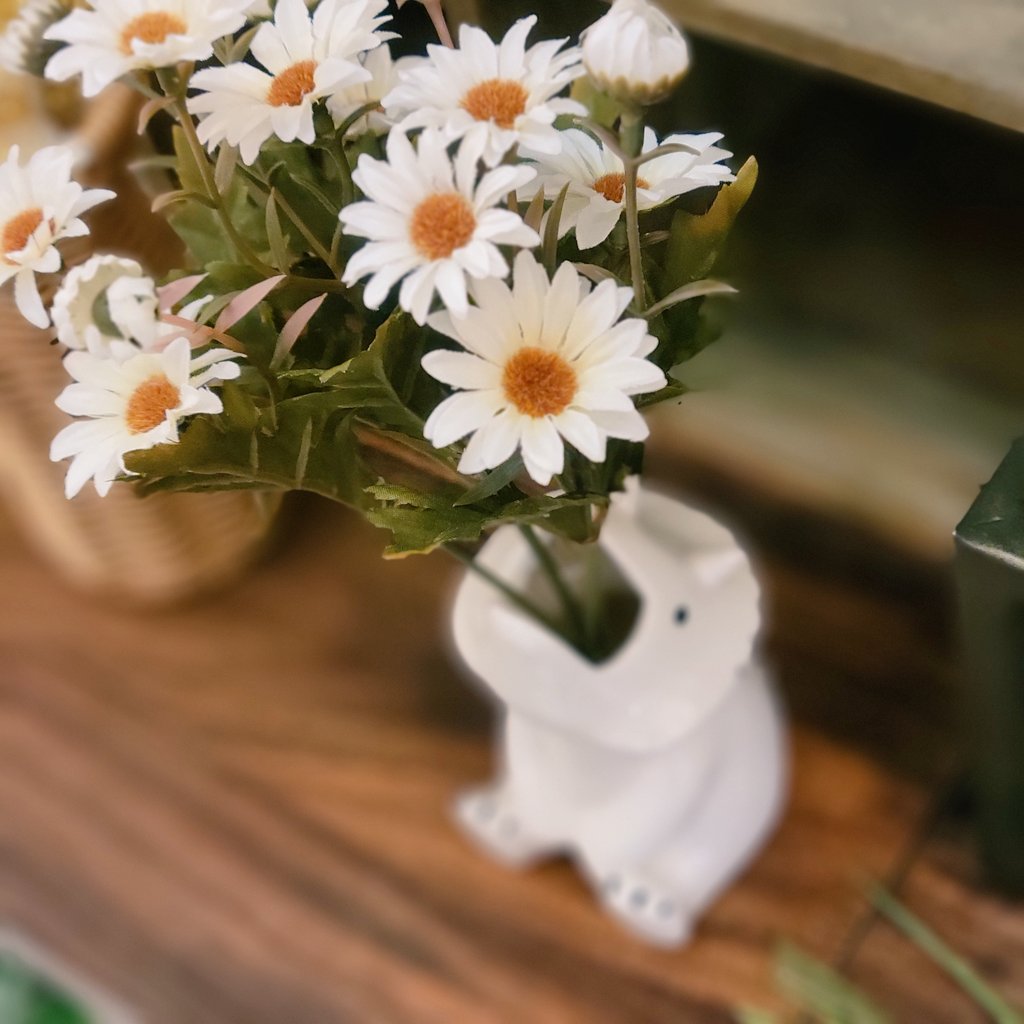 フラワーカフェ ふわたん (@fuwatanfuwatan) / Posts / X