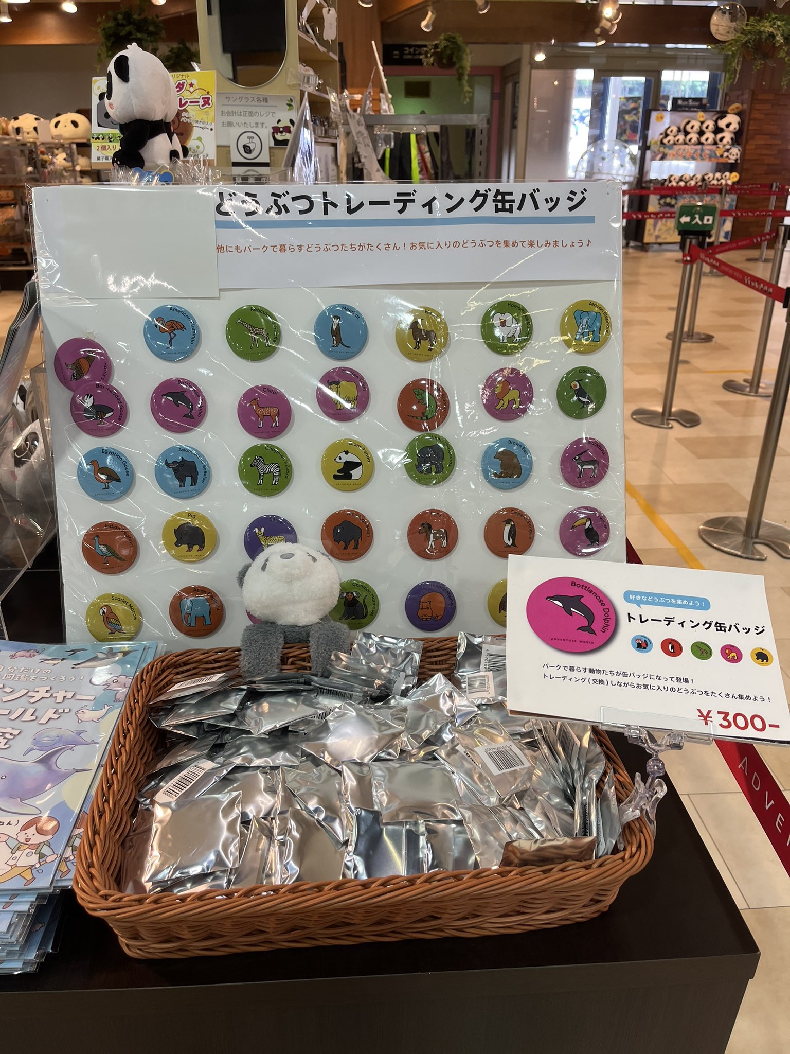 アドベンチャーワールド「トレーディング⽸バッジ B」 アドベンチャーワールド 公式 on X: 