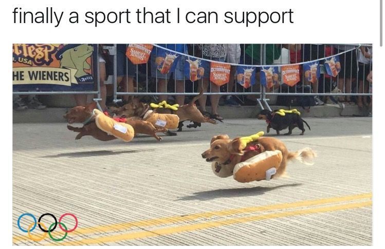 WholesomeMeme's tweet photo. https://t.co/rJ7Zxd32KG