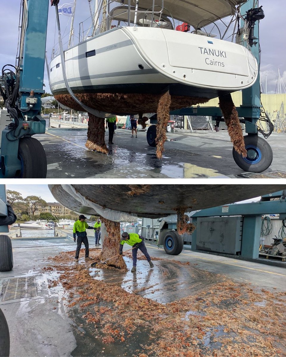 rpayc's tweet image. Some serious TLC for this vessel at the Boatyard. The amazing Boatyard team cleared out a ton of built-up grime from the hull. A satisfying before and after for the team.
.
.
#RPAYC #PittwaterSailing #YachtRacing #SailingLife #SailingAustralia #RaceDay #YachtClub #beforeandafter