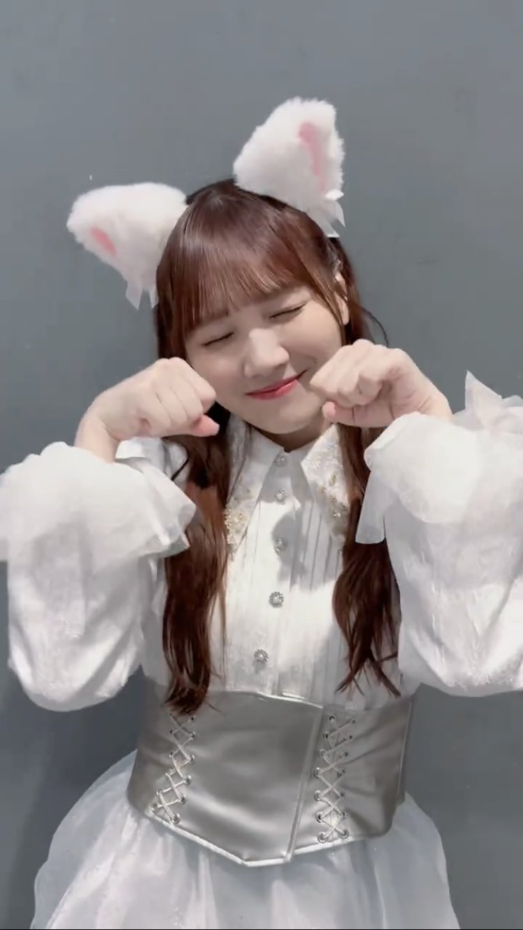 •*¨*•.¸♬︎ねこにゃんにゃん•*¨*•.¸♬︎ コレサワ「にゃんにゃんにゃん」【Lyric Video】 - YouTube