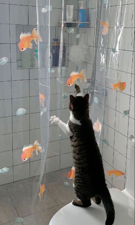 ♡ (@heart_jpg) on Twitter photo 