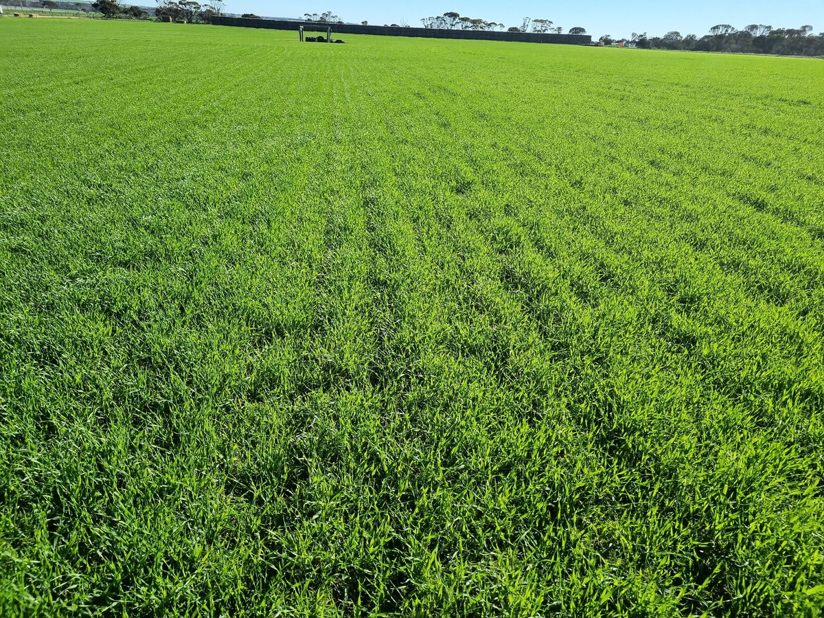 Peter Walker tweet media