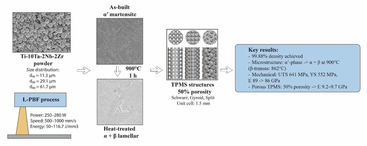 MSAM_ASP's tweet image. 📢 Freshly published!
✨ “#Microstructural evolution and #MechanicalProperties of laser-#powderbedfusion-fabricated Ti-10Ta-2Nb-2Zr alloy as a potential orthopedic implant material”
👨‍🔬 by Igor Polozov, et al.
🔗 doi.org/10.36922/MSAM0…

#AdditiveManufacturing #3DPrinting #Alloy