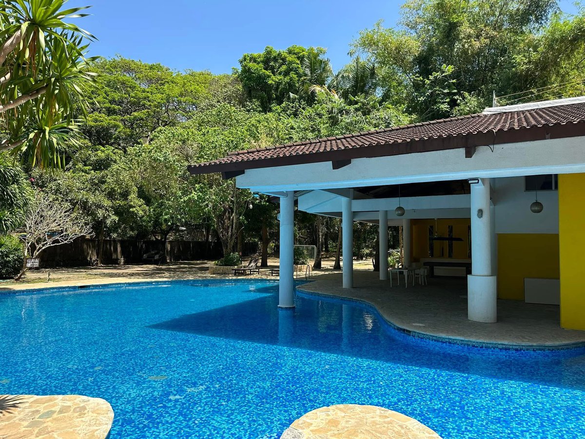 Snoozy_crypto's tweet photo. By the way I own a small resort in the Philippines

$Solami holders gets 10 percent discount on rooms and services 😁

Exclusive for #SOLAMISUMMER

How is this for tech @MotionMoey @JustSolami @Ga__ke @Loopierr @toly @a1lon9 https://t.co/FMcLexsS1n