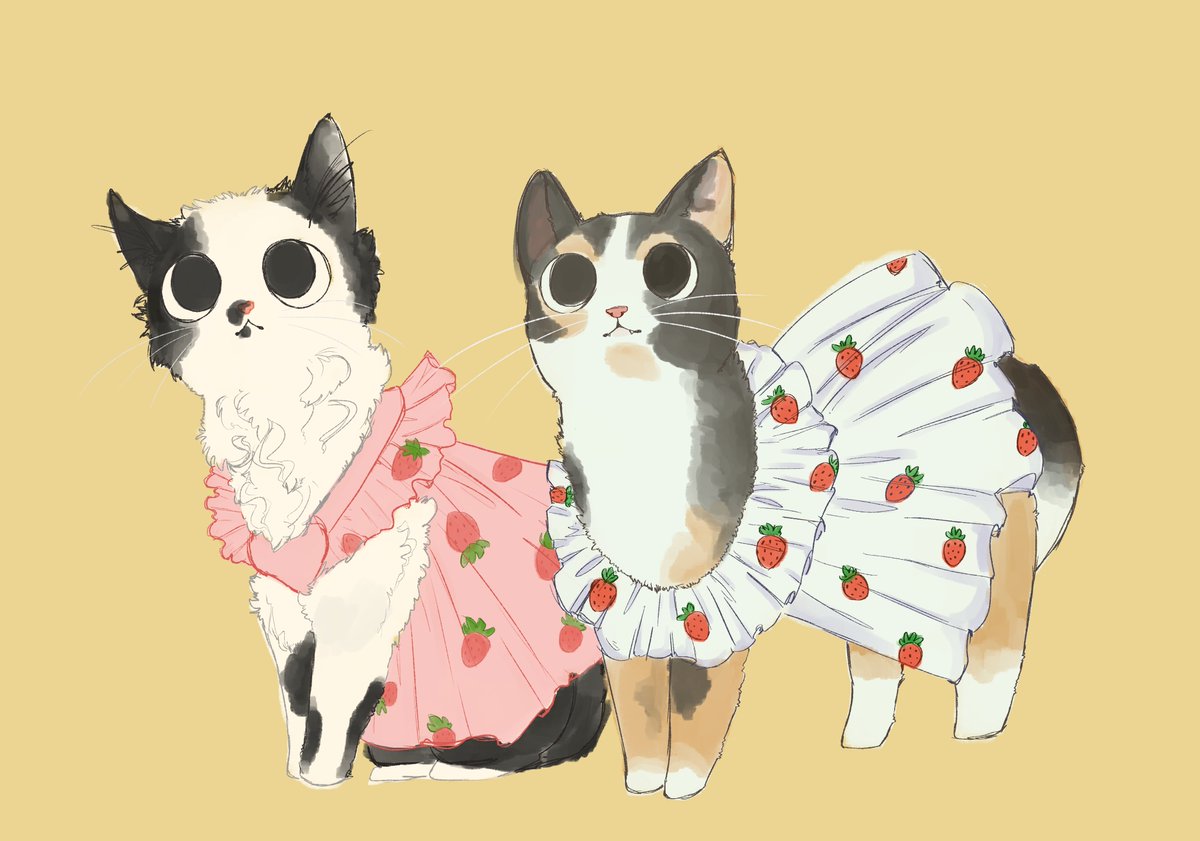 mimillullubi's tweet photo. oreo and monkey for the lovely @oreoeocat https://t.co/sxzTfCnJGd