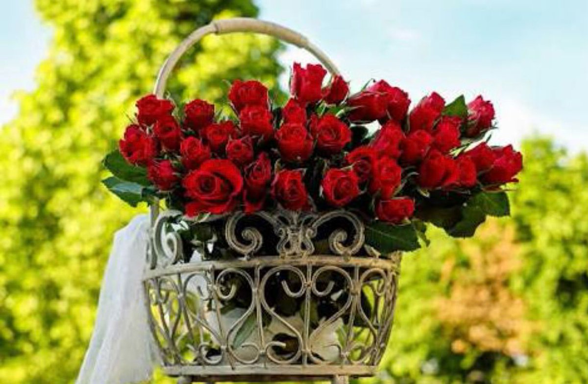 In the end, it's not about those who let you down. It's about those who always held you up.#goodmorningeveryone