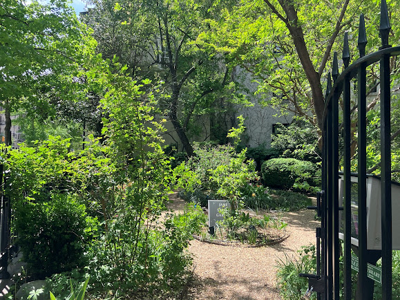 homebalancer's tweet photo. Small park, Greenwich Village, NYC.
#photography #NaturePhotography #art #sunshine #photographers #Cityliving #iloveny #timeoutnewyork
@ThePhotoHour @photographmag @OutdoorPhotoMag
#Cityliving #thisisnewyorkcity https://t.co/7yAbJpB6QB
