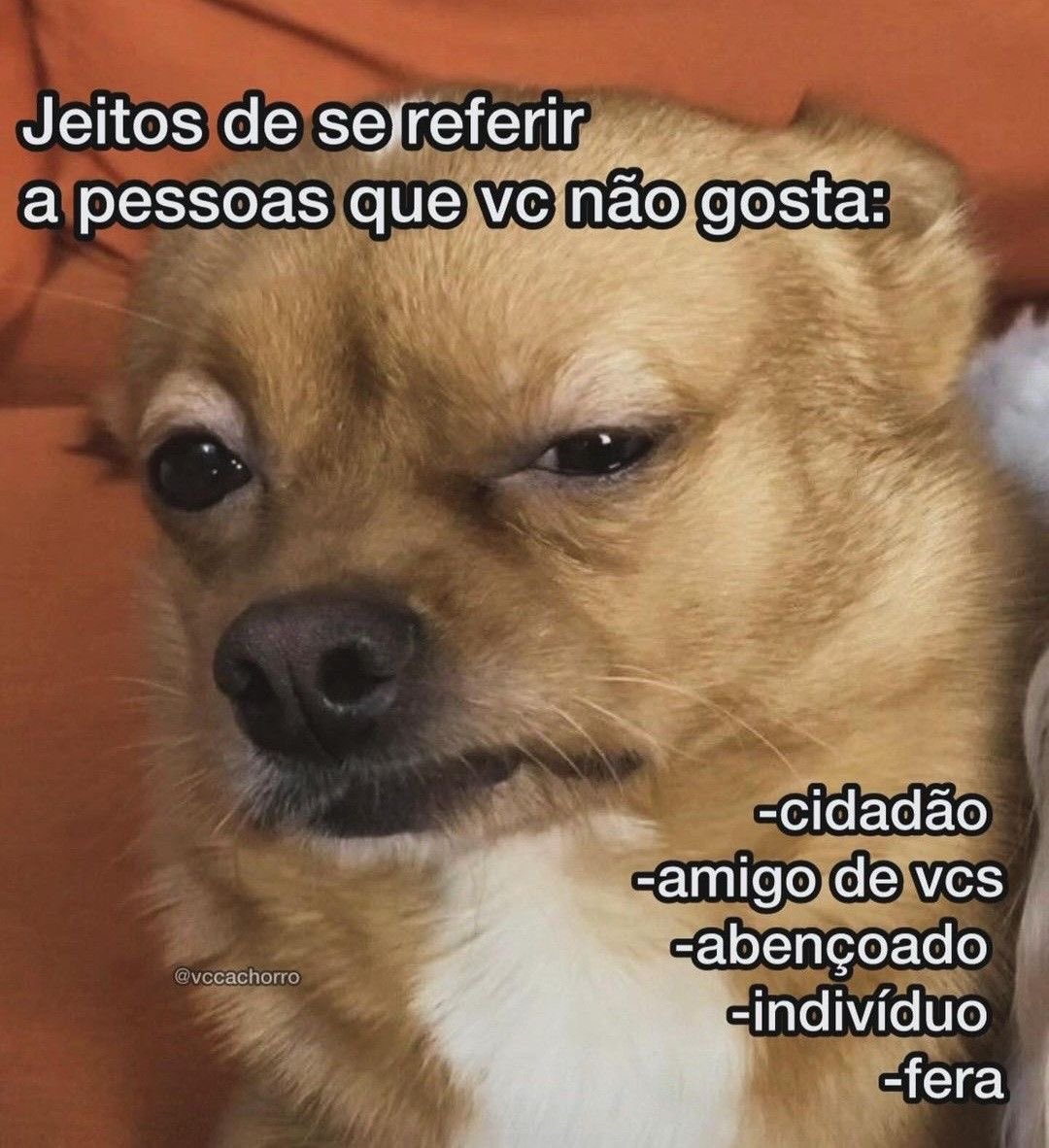 Pagina lixo (@paginalixo1) on Twitter photo 