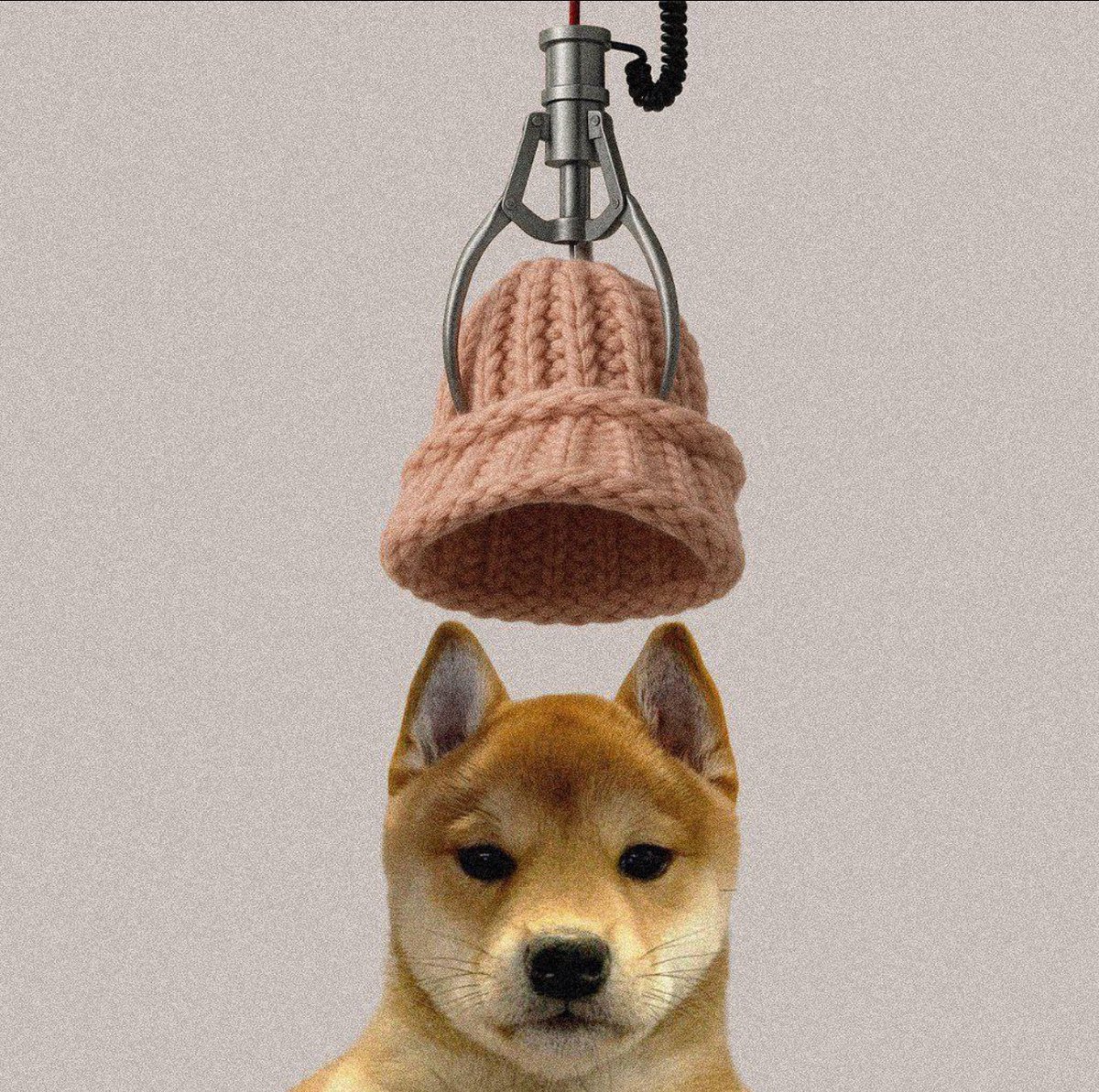 What is $dog? Timeline

- $wif dev sells hat for a lot of money
- $wif dev launches new token “It’s just a dog”
- $wif dev sells bags just like he did $wif
- $dog gets CTOd like $wif, led by <a href="/XillzCrypto/">Xillz</a> 
-  Launch pad gets leaked dog.fun/launch 

Undervalued at 2.5m…