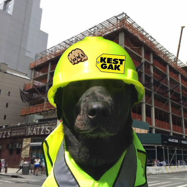 MaxPintchouk's tweet image. #NewProfilePic