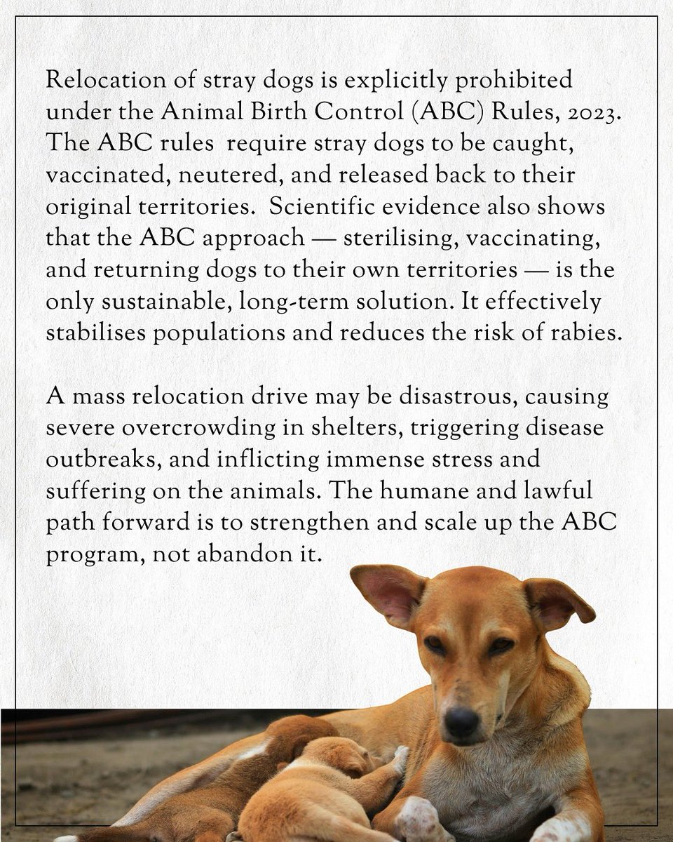 CEO_MFAINDIA's tweet photo. #SupremeCourtofIndia’ s order to remove dogs from the streets of Delhi is devoid of science and existing law. This disastrous decision will cause extreme animal cruelty and increase the risk of disease outbreaks in shelters due to overcrowding.  #dogs #DelhiNCR #delhidogs https://t.co/29KVcPrbqV