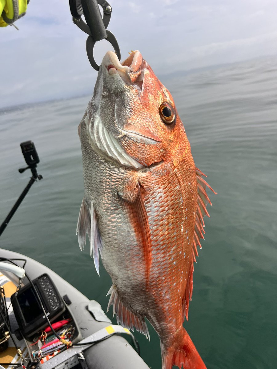 on_the_sup's tweet photo. 西湘supfishing 
渋い中でのBIG1で嬉しみ半端ない😊 https://t.co/Gm7ihi4tcI