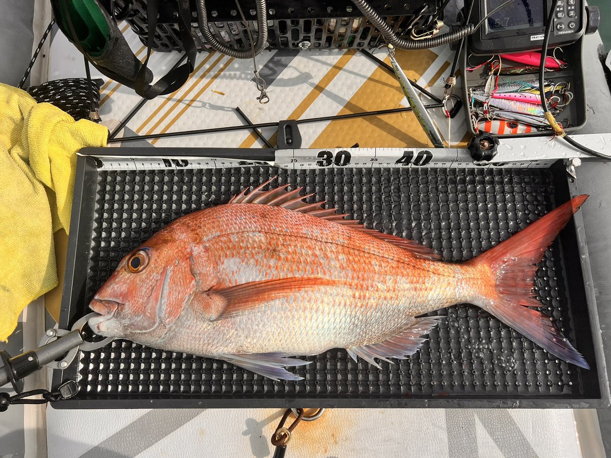 on_the_sup's tweet photo. 西湘supfishing 
渋い中でのBIG1で嬉しみ半端ない😊 https://t.co/Gm7ihi4tcI