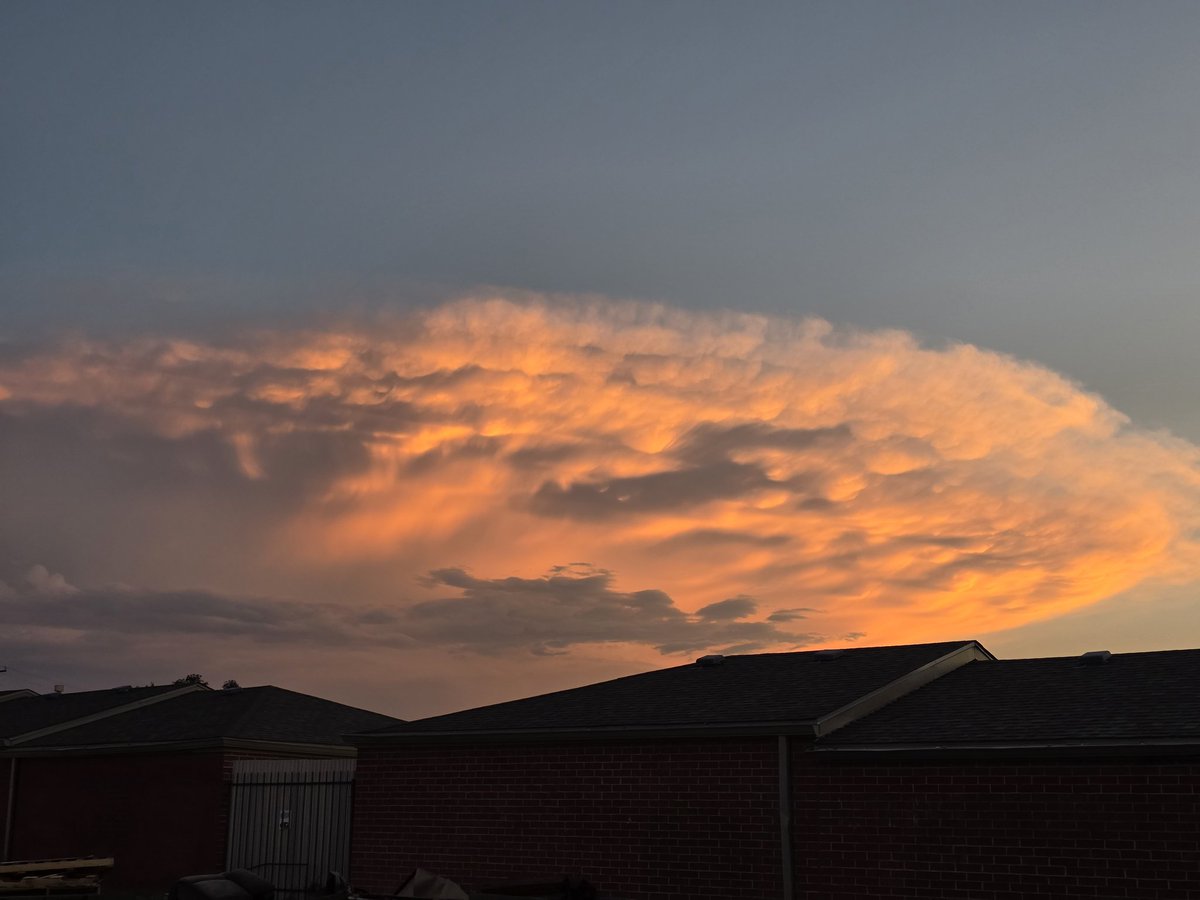 BassheadRob tweet media