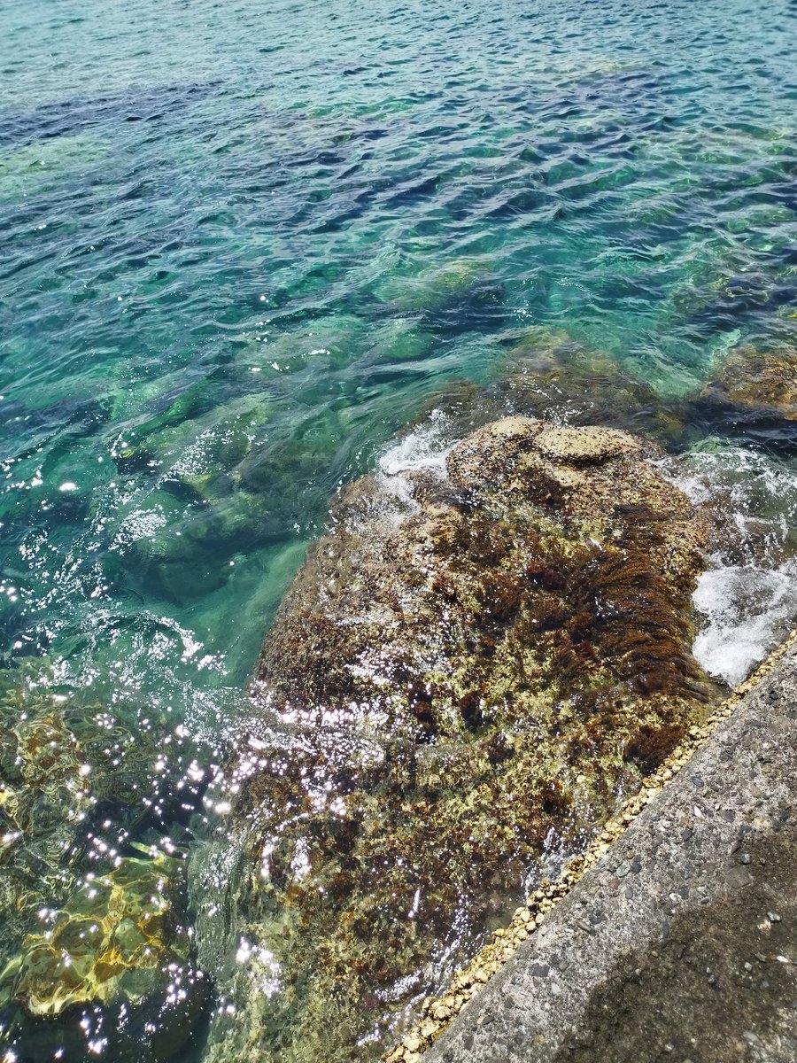 hidechan_3104's tweet image. 8連休の初日から2泊3日で旅行して
里帰りする田舎も お墓も無い身なので
残りの5日間をどうやって過ごせばいいのか
分からない🙄💭
取り敢えず今日は 眠くなったら寝る😪
 #キリトリセカイ  #カコウミ