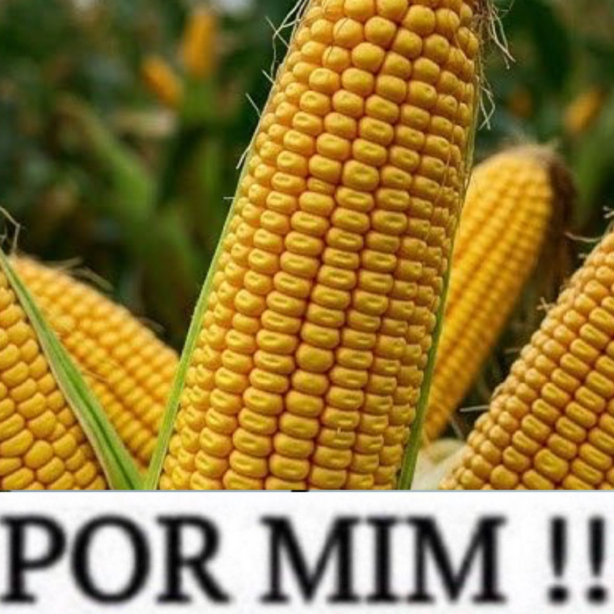 estático nico di angelo por mim!!