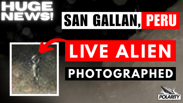 polarityjosh's tweet image. In light of the epic documentary on the Nazca Mummies by @AlchemyAmerican, I think it's worth revisiting these older videos of mine.   

Witness testimony and photographs of what appear to be Short Greys that inhabit the Peru coastline.  

The witness is no longer alive.