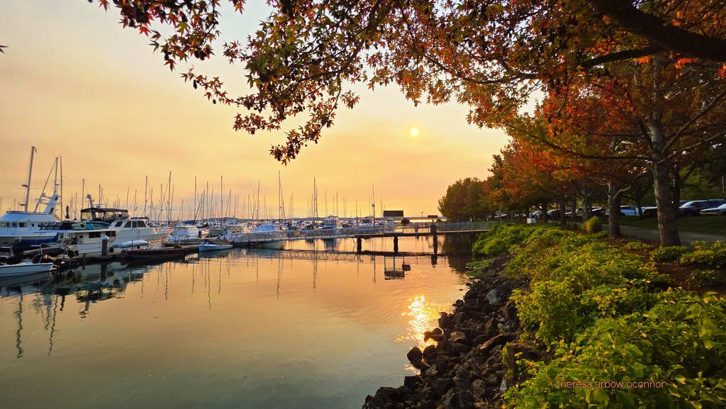 Smoly skies at Seattle Marina ♡