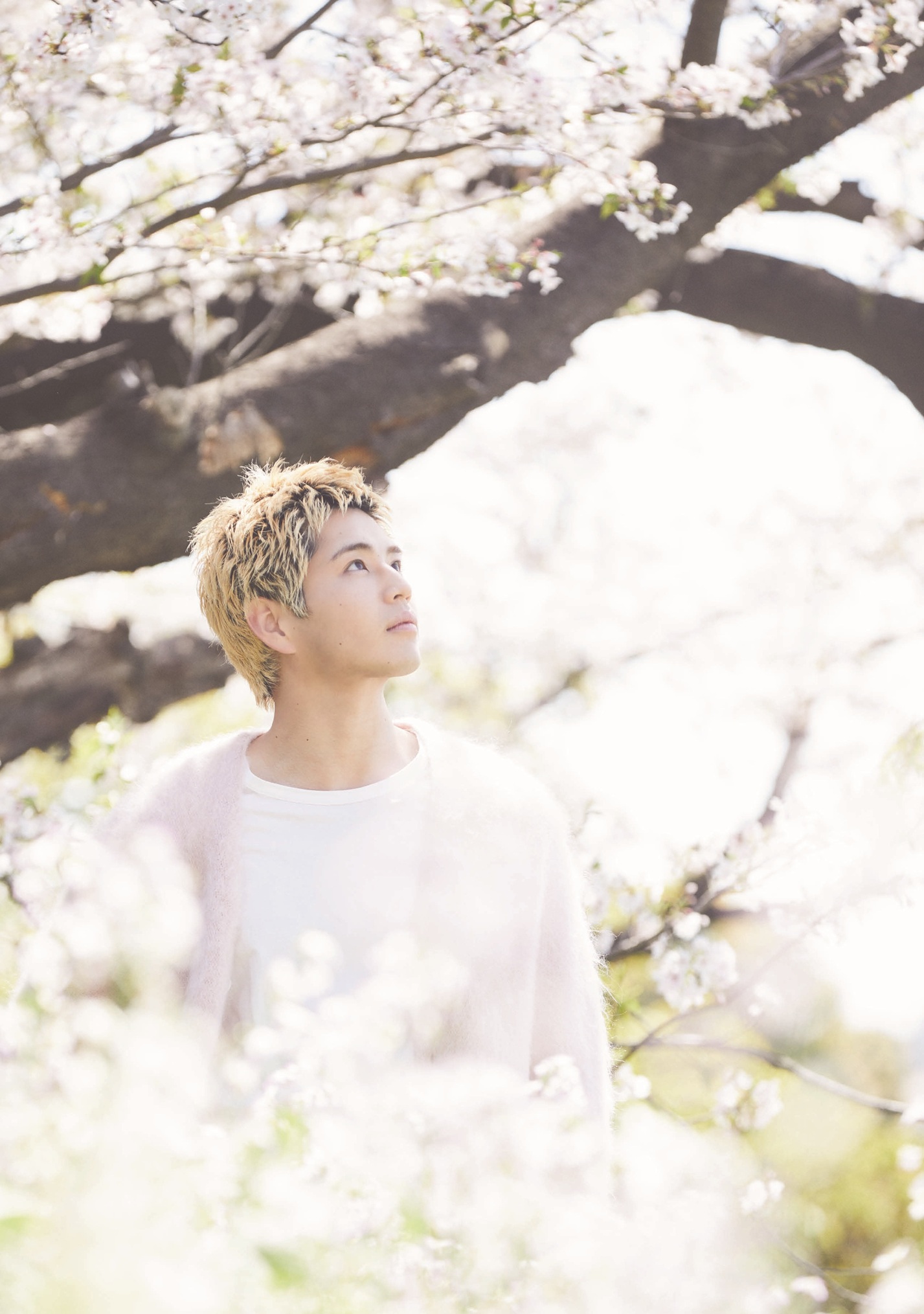 ワニ通販】ワニブックス スペシャルエディション (@wani_sp) / X