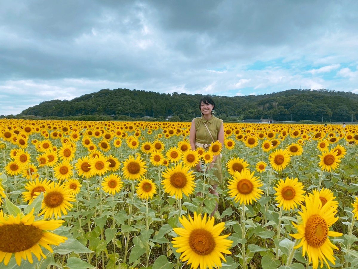 and_orrn's tweet photo. #向日葵 🌻 https://t.co/dabkRvfoZI