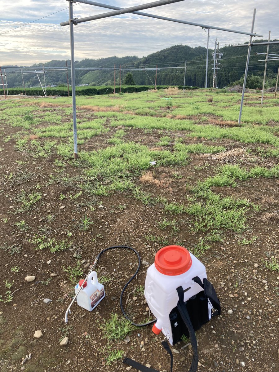 pythonfun_314's tweet image. 畑を借りたので、来年に向けて草の管理。
除草剤を撒きます。

草刈りだけで1日が終わることも…でもこれが畑を守る大事な作業。#農業のリアル
