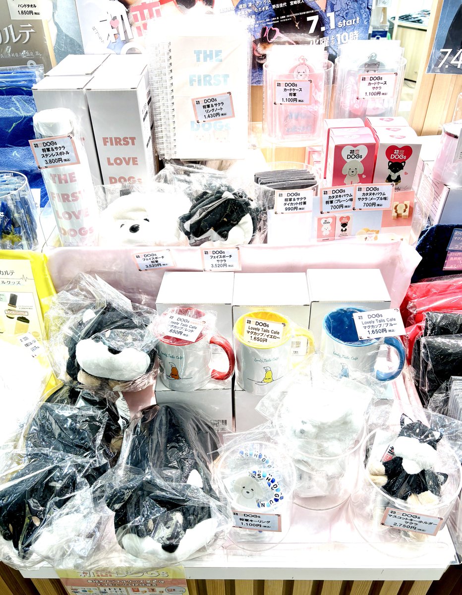 🐾火曜ドラマ『#初恋DOGs』🫶🏼／ 毎週火曜よる10時📺 『初恋DOGs