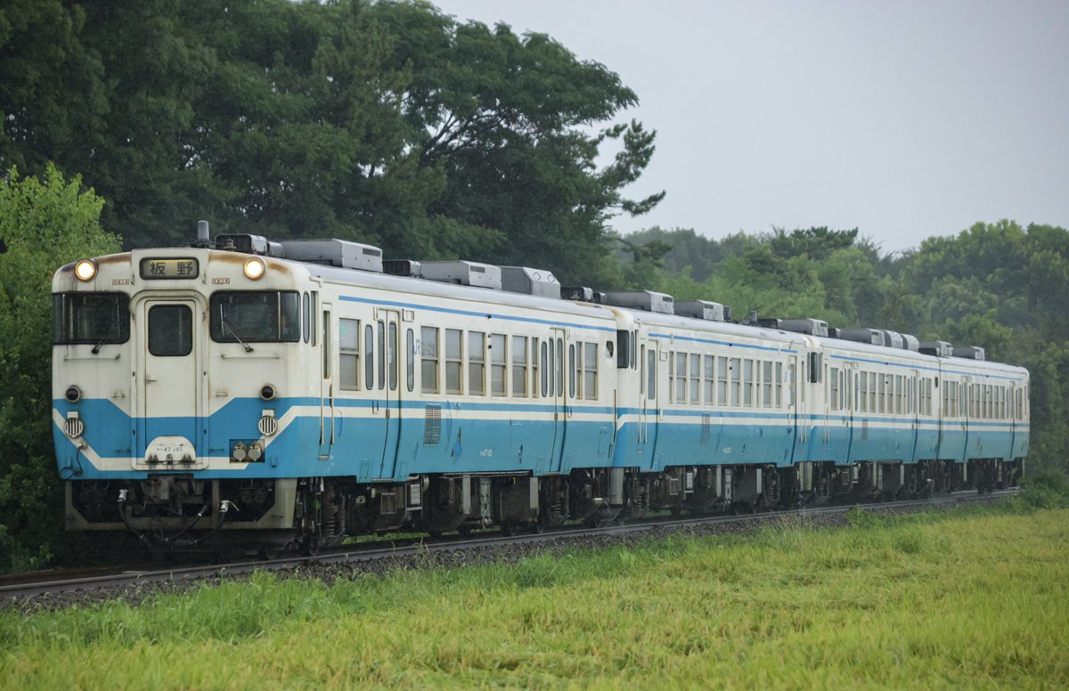 ちびび チビZX！ | B-FARM Blog