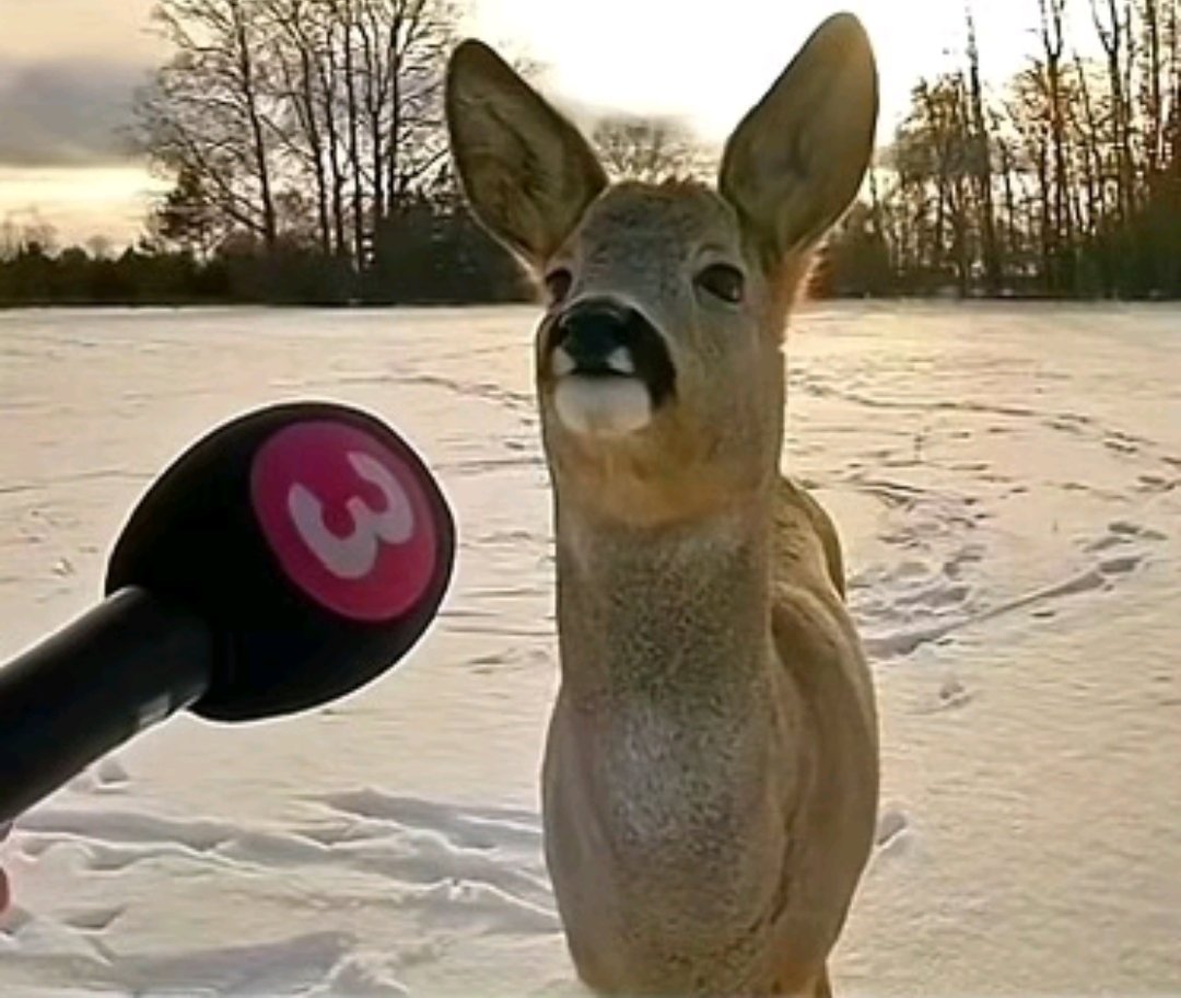 Teason (@teasonhiden) on Twitter photo 