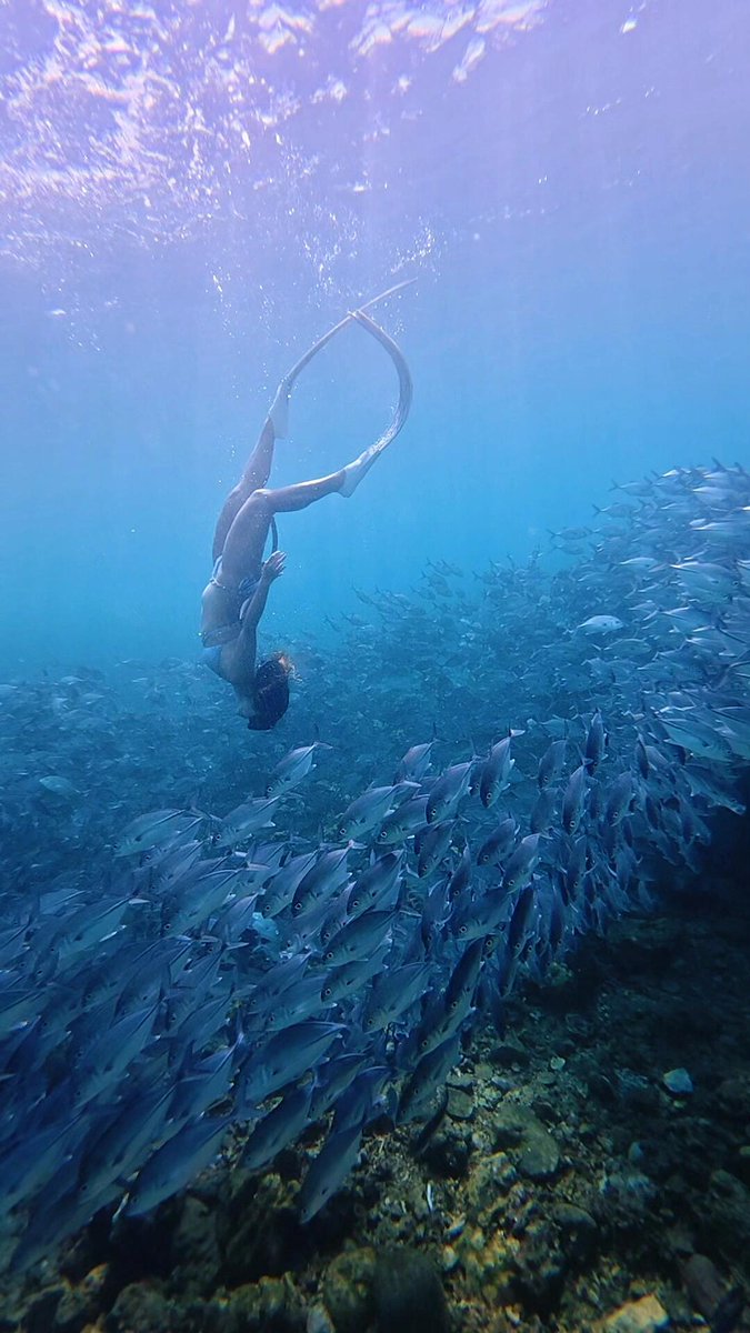 CButterscotch_C's tweet image. 毎回海の底に潜ることは、心の洗礼です。未知の未来に直面したとき、私たちは迷うことがあるかもしれませんが、自分には無限の可能性と勇気があることを信じ続け、すべての挑戦を乗り越え、もっと素晴らしい明日を迎えることができると信じましょう。
#挑戦 #勇気 #心の洗礼 #未来への信念  #前向き