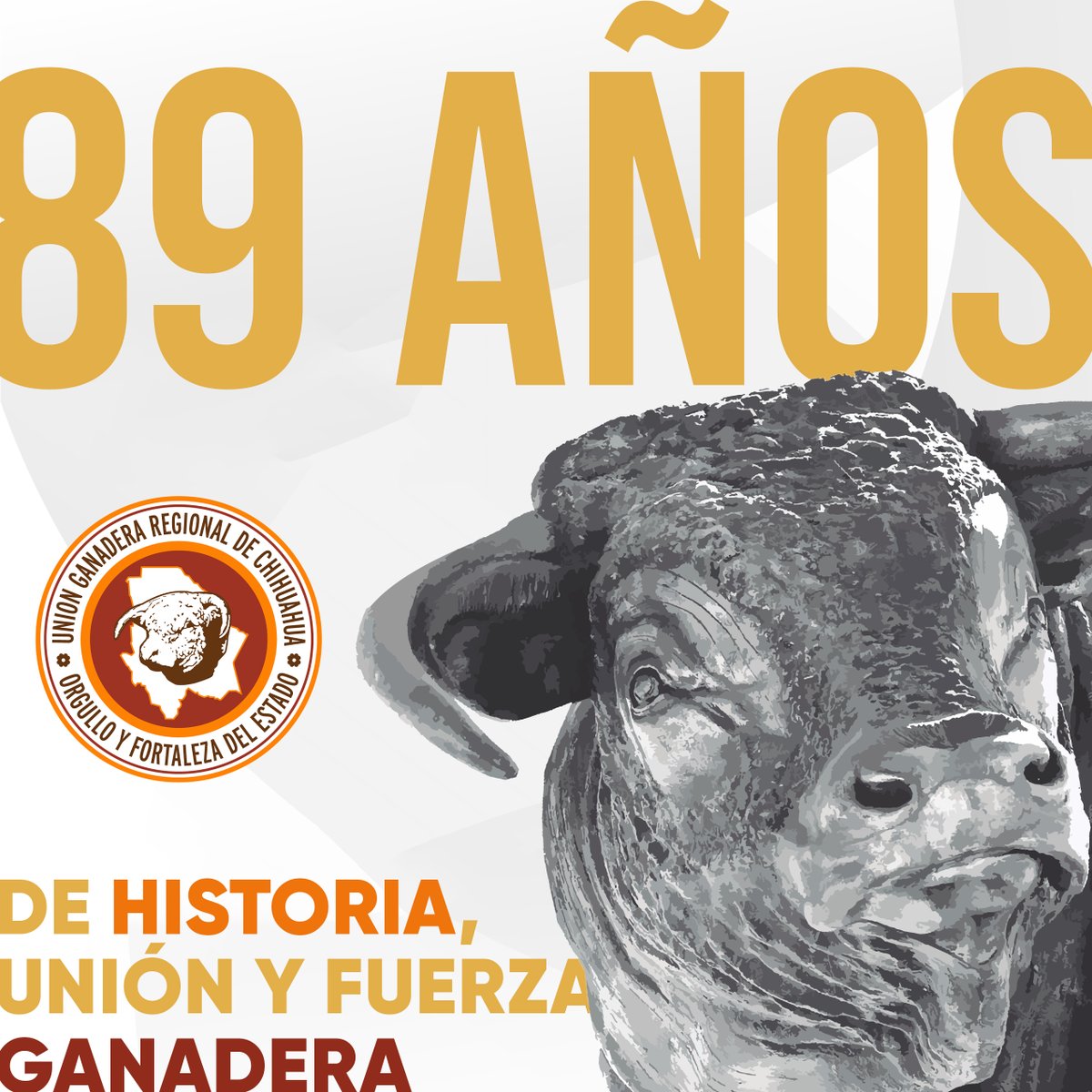 UGRCHI's tweet photo. Fundada en 1936, somos un pilar fundamental en el desarrollo del sector ganadero, motor de progreso social y económico.

¡Orgullo y Fortaleza del Estado!

#UGRCH #OrgulloYFortaleza #Ganadería https://t.co/iXZHjHHttO