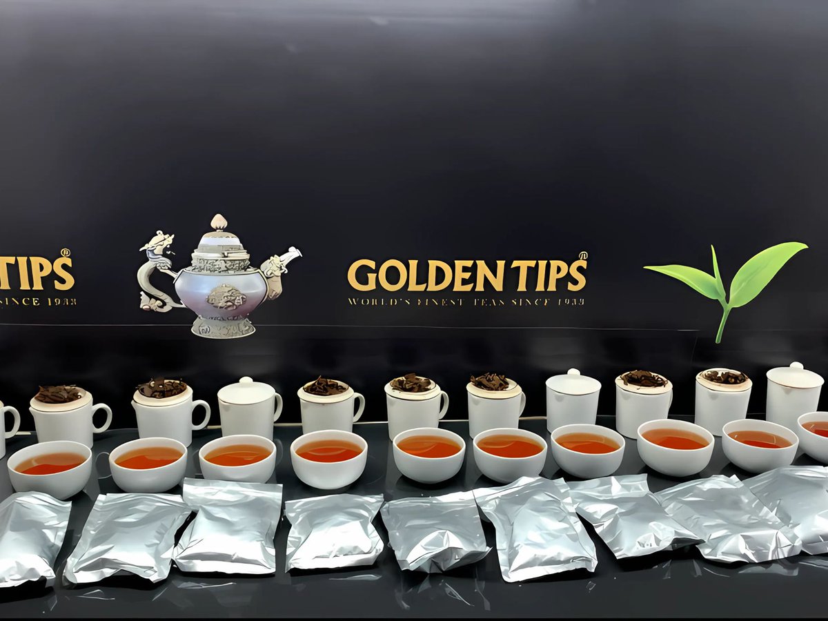 Savor the freshness in every sip. Discover the rich flavors of Golden Tips Tea today! 

☕️ Visit our website to explore and order your perfect cup.
goldentipstea.in
.
#GoldenTipsTea #FreshTea #TeaTasting #TeaLovers #SipAndSavor #TeaTime #DiscoverTea #TeaExperience \