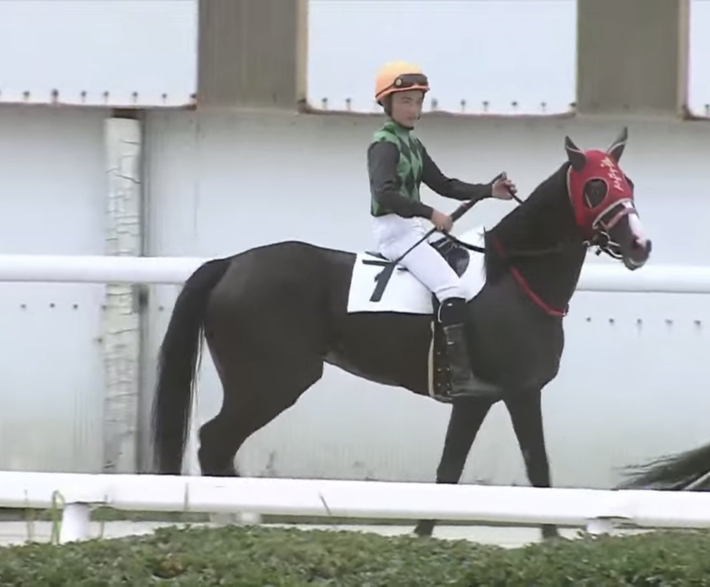 ｺﾝﾁ - Search / X