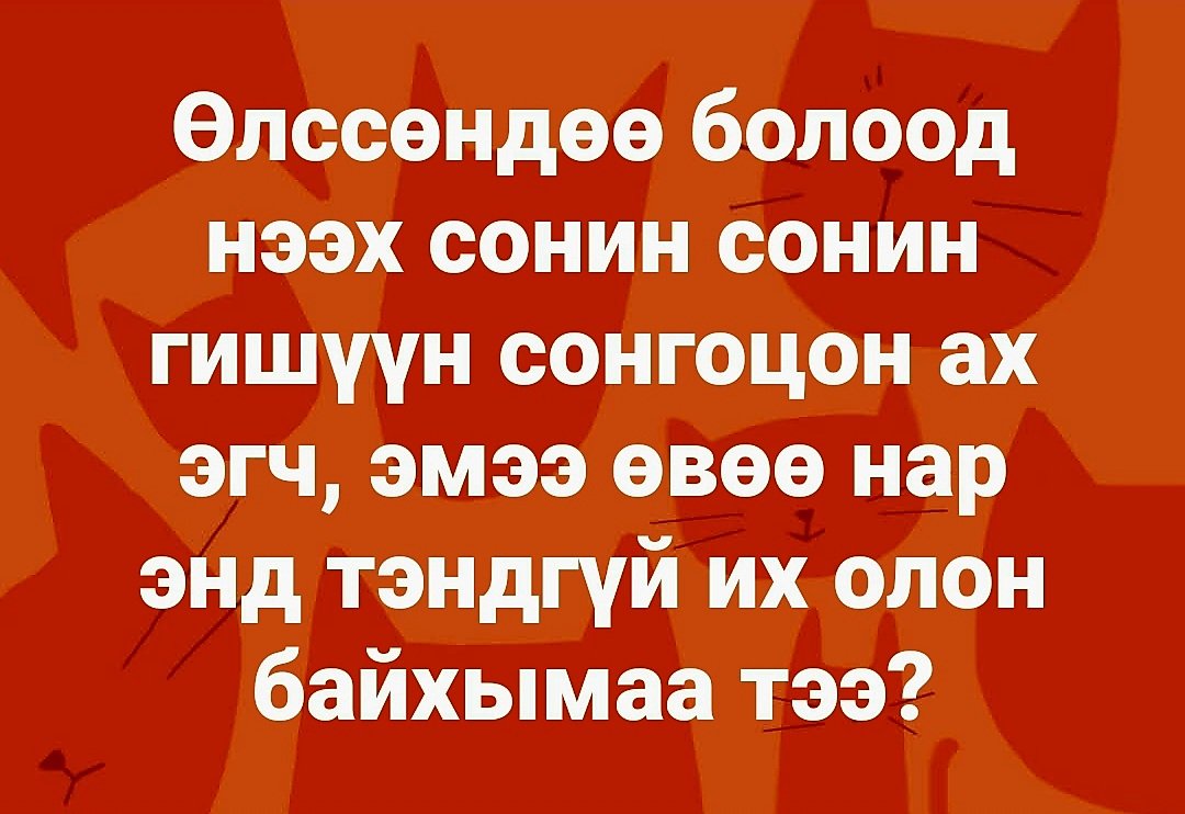 Samandar Tsogtbayar (@satso999) on Twitter photo 