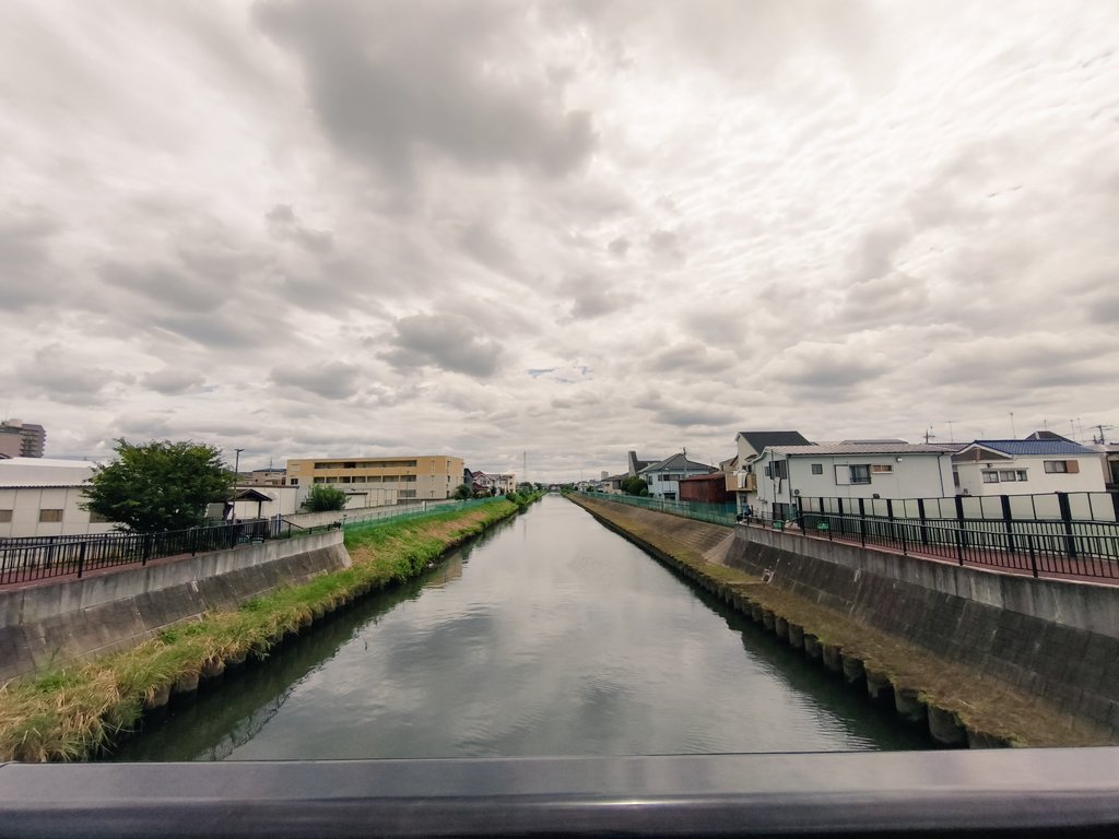 miki_mfb's tweet image. 薄日がさしています⛅️