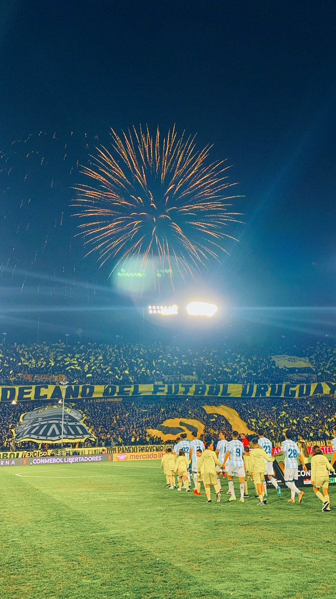 La localia más pesada de América.