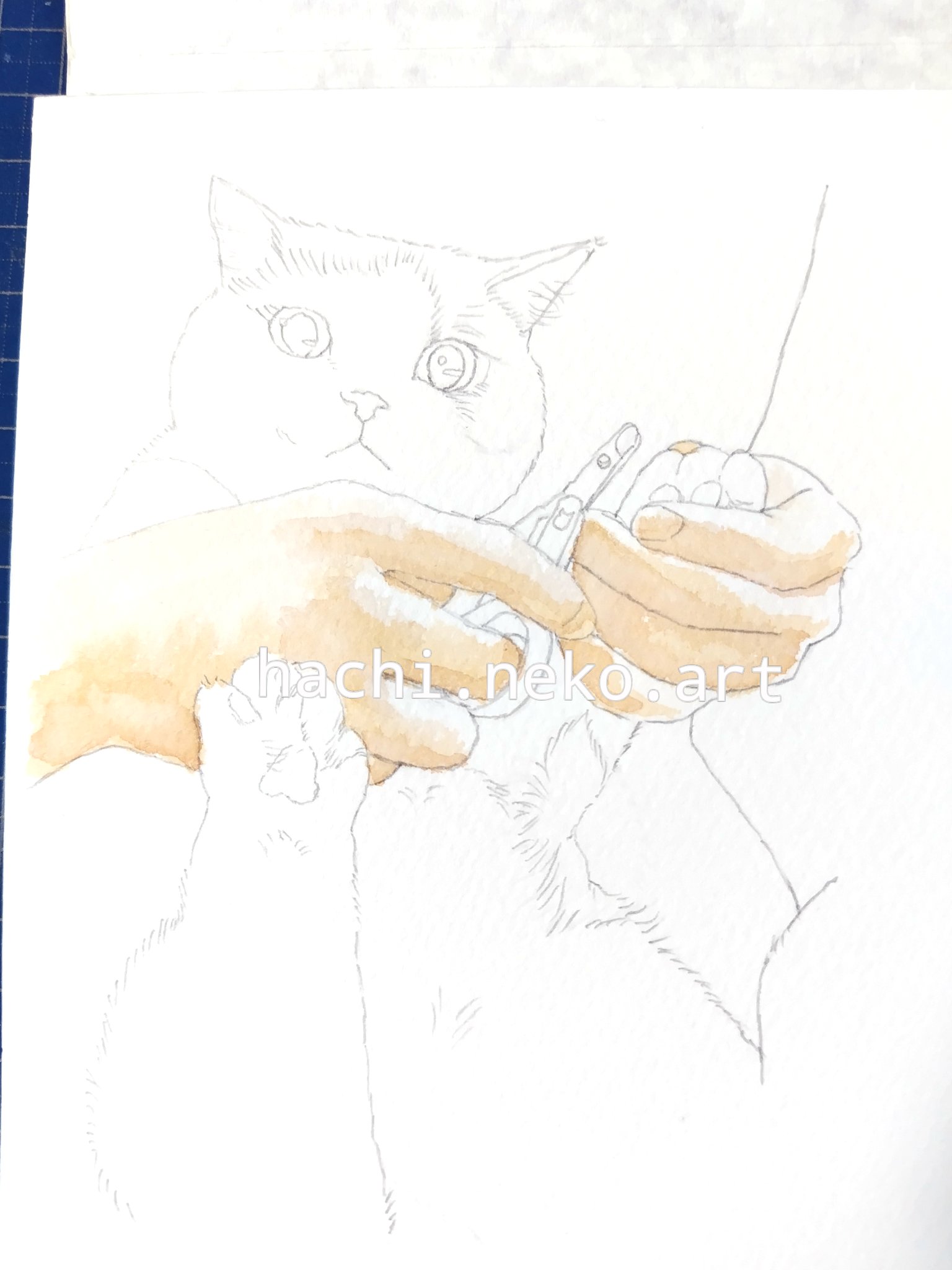 「ハッチ2」猫イラスト（原画） ハッチ2」猫イラスト（原画） はち・ねこ画家🎨ご依頼受付中