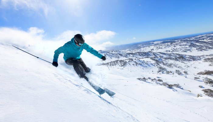Perisher tweet media