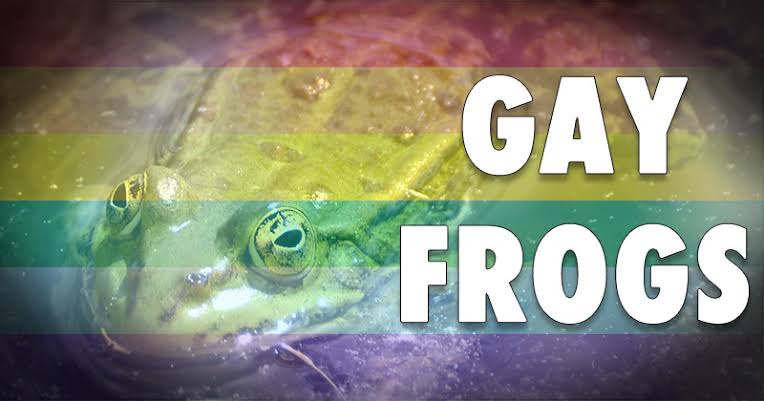 Fluoride and Gay Frogs:

Leading biologist Dr Alex Jones's research showed that the fluoride in drinking water led to a marked increase in incidences of homosexuality across a range of amphibian species. #tinfoil 
@TinFoilHatKing