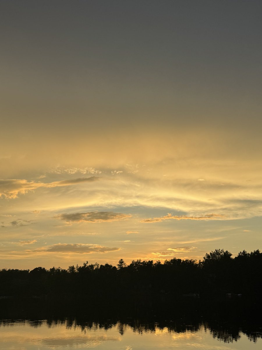 claire bear (@darkdementus) on Twitter photo 