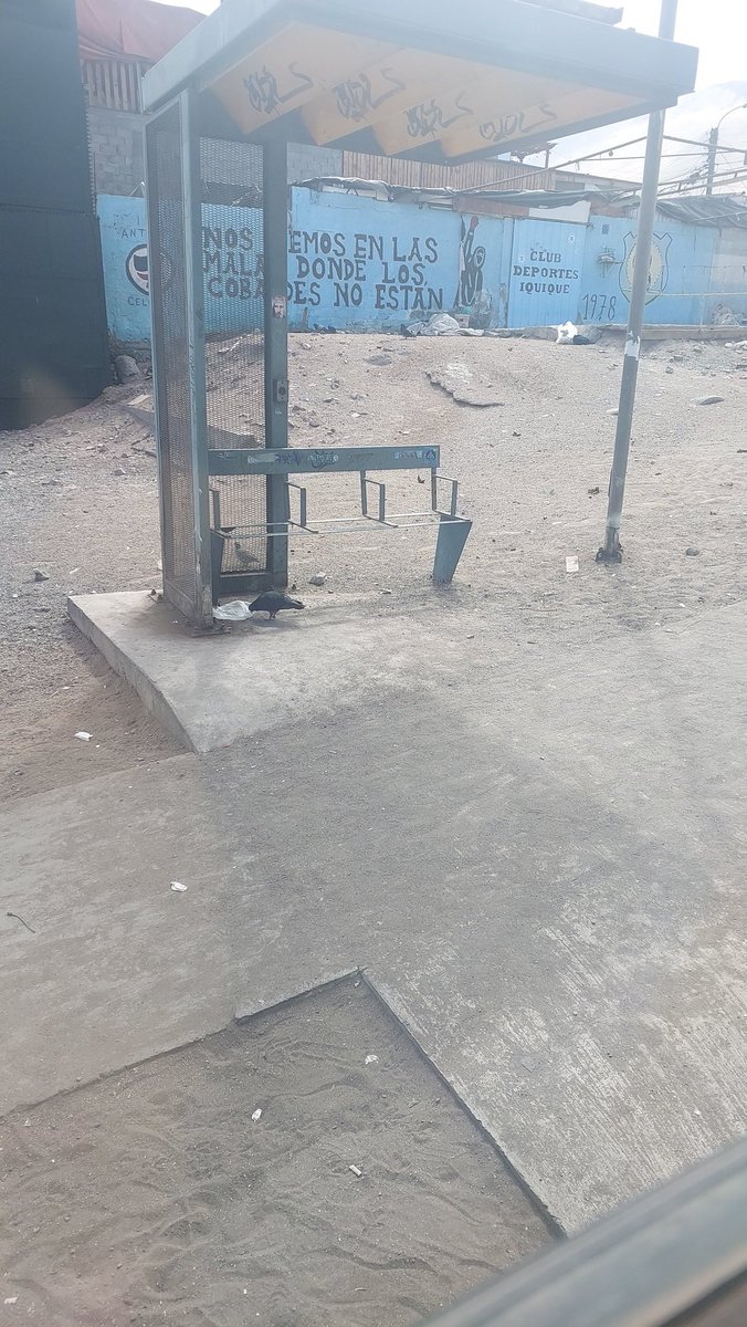 BrokeGamerCL's tweet photo. .. y 7 meses después, siguen así.... #Iquique #paraderos https://t.co/Ui5xb21ppS