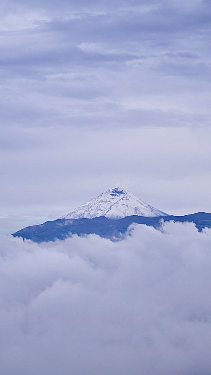 German Jacome GERCICLAR (@gerciclar) on Twitter photo 