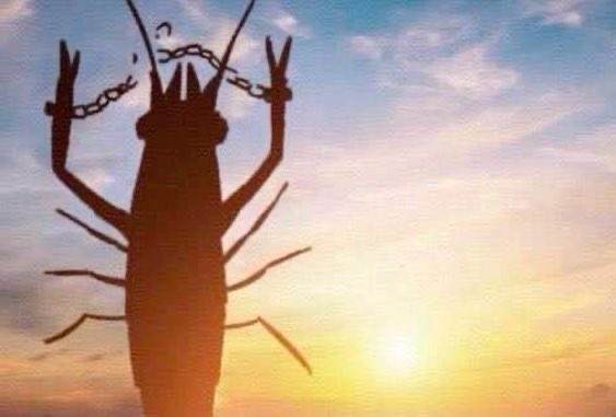 GOT OFF THE NITEHARTS WAITLIST LETSGOOOOOOOOO