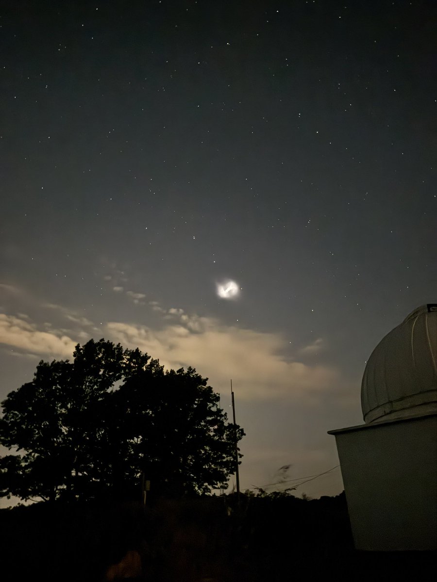 Adam Allington tweet media