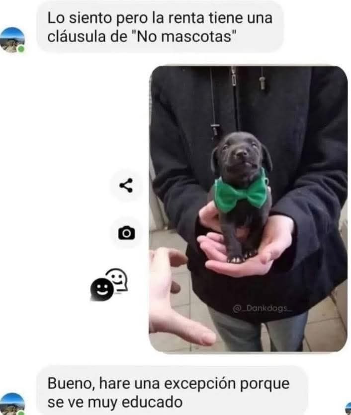 Se ve muy educado 🫶🏾